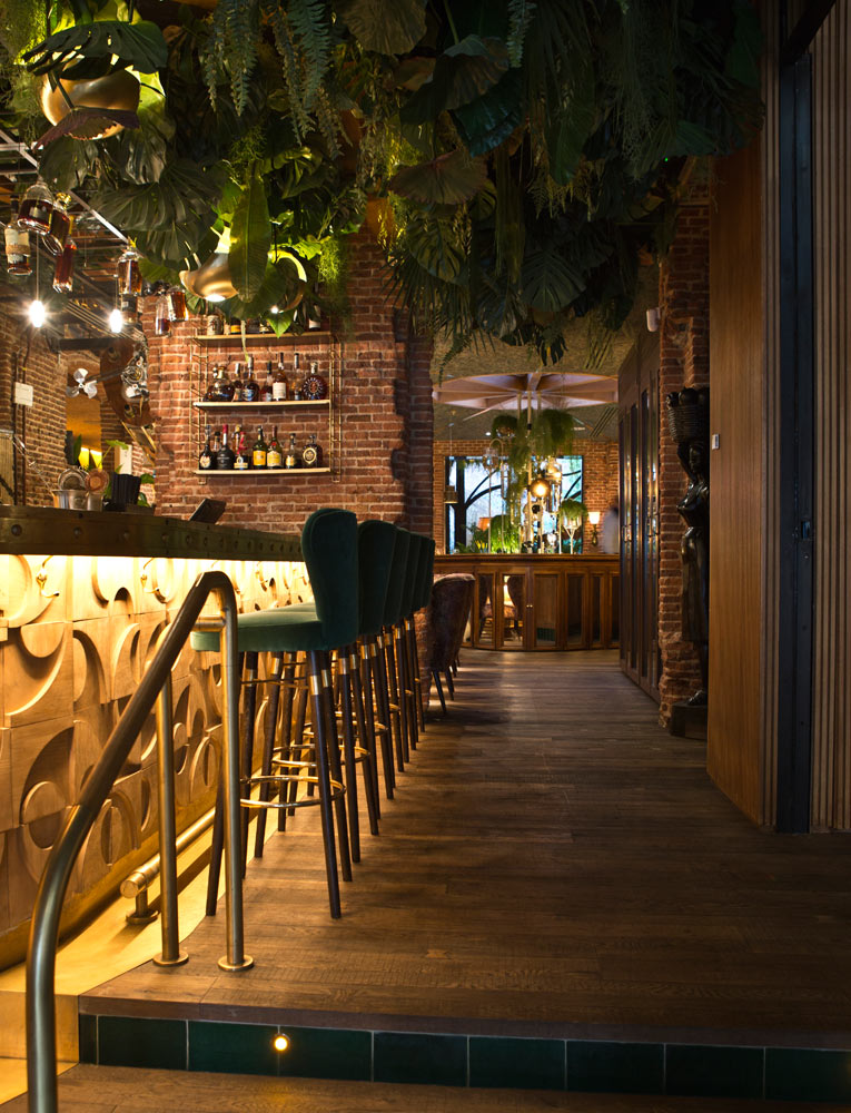 iluminacion-barra-amazonico